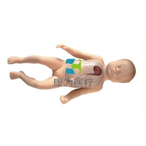 “康為醫療”新生兒外周中心靜脈插管操作模型（PICC)