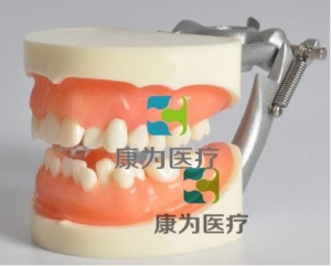 “康為醫療”醫師資格考試拔牙模型,口腔執業醫師資格考試拔牙模型